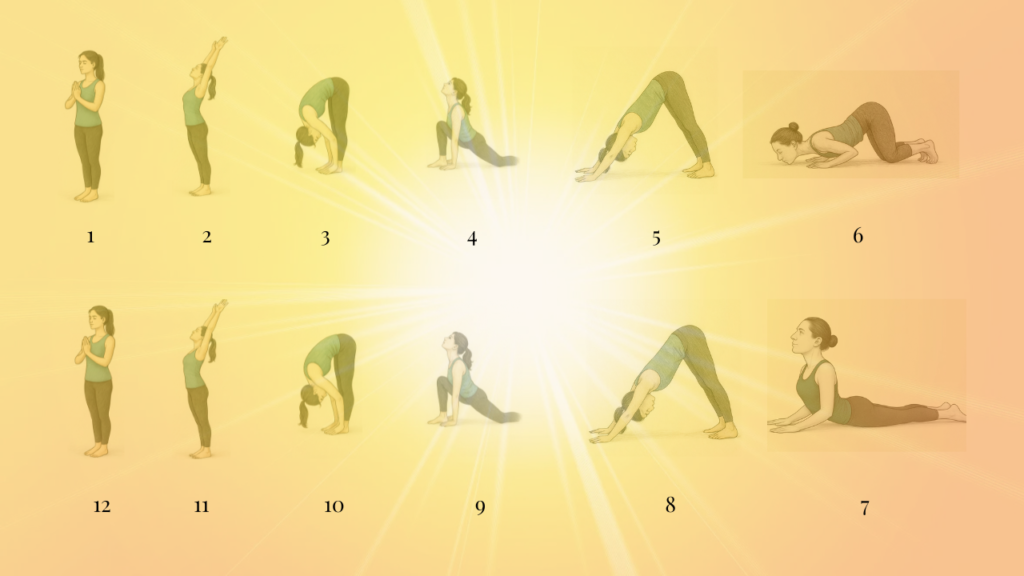 Hatha Surya Namaskara The 12 poses in Hatha Surya Namaskara