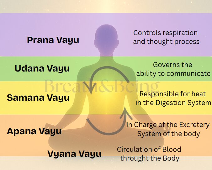 A digital illustration of a meditative human figure with five colored zones, each representing one of the Pancha Vayus. The head is violet, the throat and upper chest are green, the abdomen is yellow, the lower abdomen and pelvis are orange, and the body is outlined in red. The background has a soft, spiritual texture with sacred geometry.