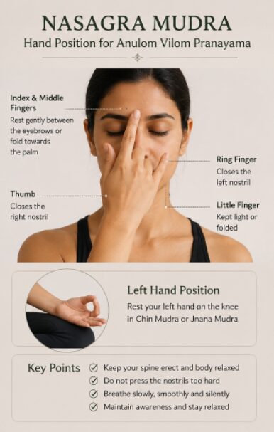 Nasagra Mudra hand position for practicing Anulom Vilom Pranayama with thumb and ring finger controlling alternate nostril breathing.